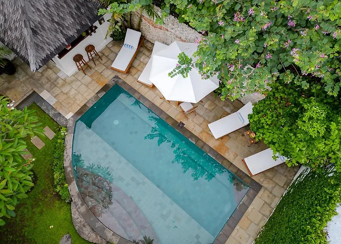 Coral Sands & Coral Sea At Bingin * Uluwatu